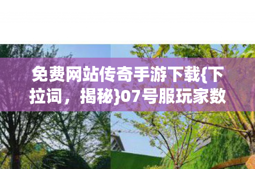07号服玩家数据蒸发之谜图片