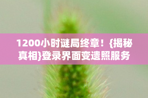 登录界面变遗照服务器哭图片