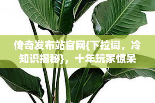 传奇发布站官网{下拉词，冷知识揭秘}，十年玩家惊呆细节！