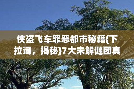 侠盗飞车罪恶都市秘籍图片