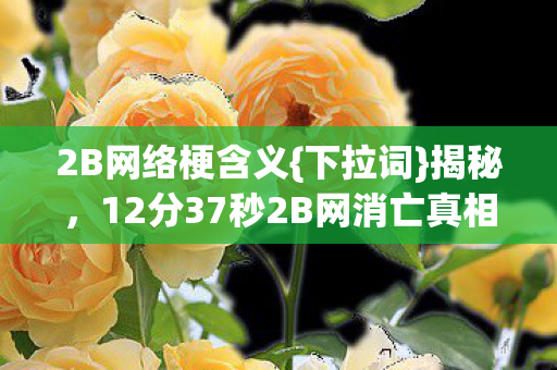 2B网络梗含义{下拉词}揭秘,12分37秒2B网消亡真相 2B网络梗含义{下拉词}揭秘,12分37秒2B网消亡真相