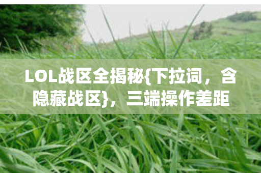 LOL战区全揭秘{下拉词,含隐藏战区},三端操作差距惊人! LOL战区全揭秘{下拉词,含隐藏战区},三端操作差距惊人!