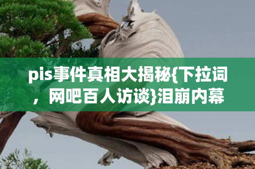 pis事件真相大揭秘{下拉词,网吧百人访谈}泪崩内幕 pis事件真相大揭秘{下拉词,网吧百人访谈}泪崩内幕