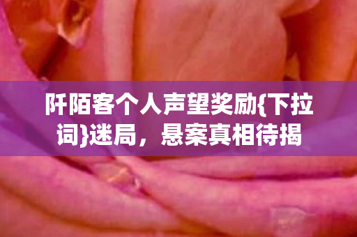 阡陌客个人声望奖励{下拉词}迷局,悬案真相待揭 阡陌客个人声望奖励{下拉词}迷局,悬案真相待揭