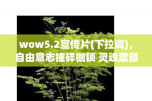 wow5.2宣传片{下拉词},自由意志撞碎枷锁 灵魂震颤选择悖论 wow5.2宣传片{下拉词},自由意志撞碎枷锁 灵魂震颤选择悖论