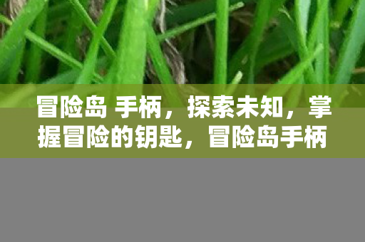 冒险岛 手柄,探索未知,掌握冒险的钥匙,冒险岛手柄,掌握冒险的钥匙,探索未知之旅 冒险岛 手柄,探索未知,掌握冒险的钥匙,冒险岛手柄,掌握冒险的钥匙,探索未知之旅