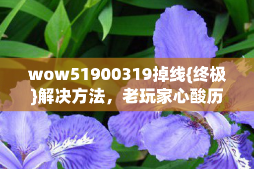 wow51900319掉线{终极}解决方法,老玩家心酸历程揭秘 wow51900319掉线{终极}解决方法,老玩家心酸历程揭秘