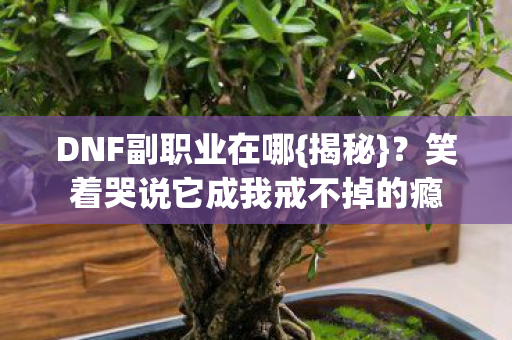 DNF副职业在哪{揭秘}？笑着哭说它成我戒不掉的瘾