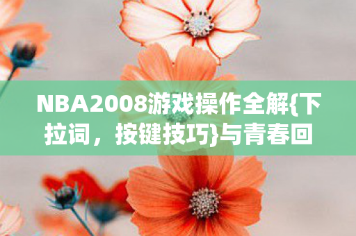 NBA2008游戏操作全解图片
