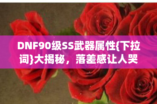 DNF90级SS武器属性图片