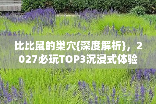 比比鼠的巢穴{深度解析}，2027必玩TOP3沉浸式体验