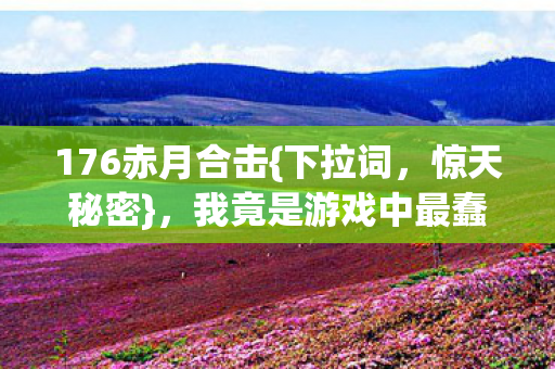 176赤月合击{下拉词，惊天秘密}，我竟是游戏中最蠢NPC？