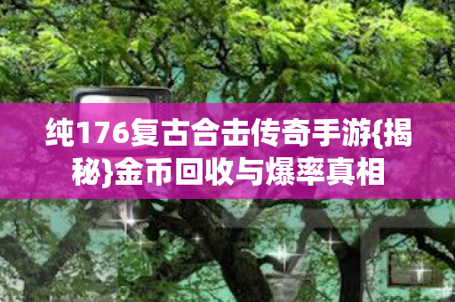 纯176复古合击传奇手游图片