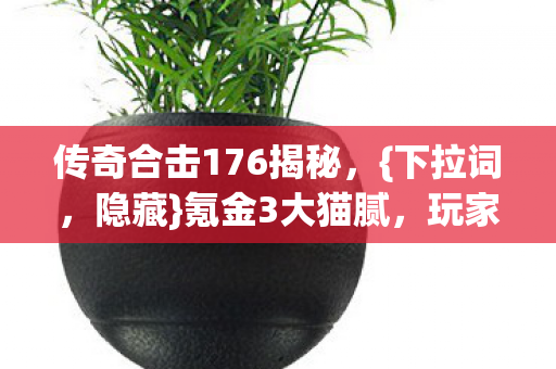 传奇合击176揭秘图片