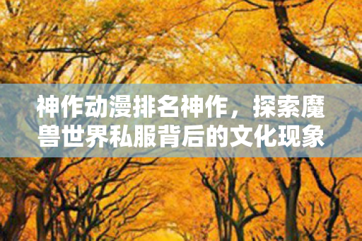 探索魔兽世界私服背后的文化现象图片