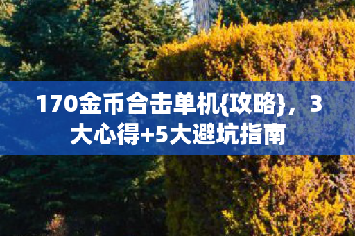 170金币合击单机图片
