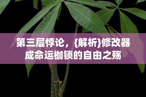 第三层悖论，{解析}修改器成命运枷锁的自由之殇