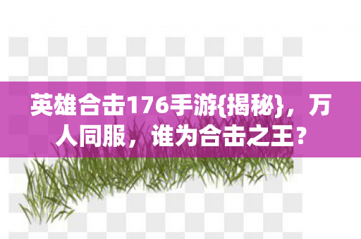 英雄合击176手游图片