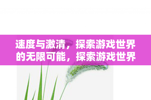 速度与激清，探索游戏世界的无限可能，探索游戏世界的无限可能，速度与激情的冒险之旅