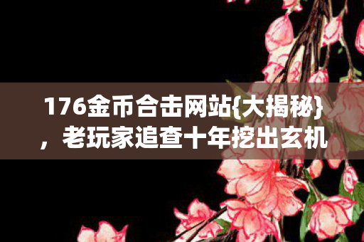 176金币合击网站{大揭秘}，老玩家追查十年挖出玄机
