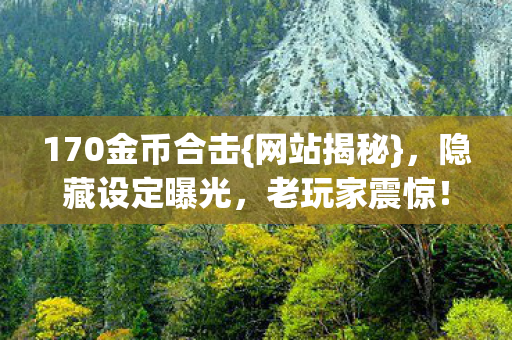 170金币合击{网站揭秘}，隐藏设定曝光，老玩家震惊！