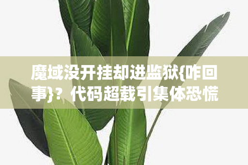 魔域没开挂却进监狱{咋回事}？代码超载引集体恐慌