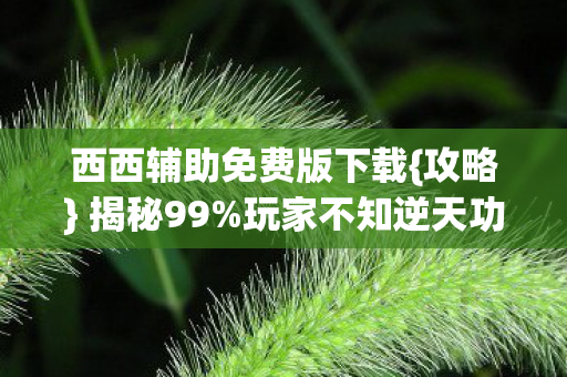 西西辅助免费版下载{攻略} 揭秘99%玩家不知逆天功能 西西辅助免费版下载{攻略} 揭秘99%玩家不知逆天功能
