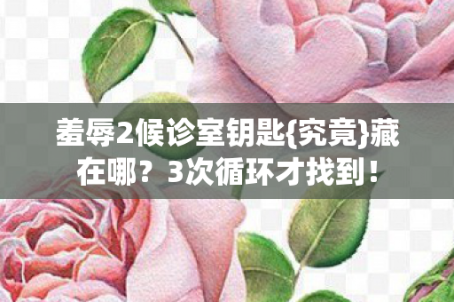 羞辱2候诊室钥匙图片