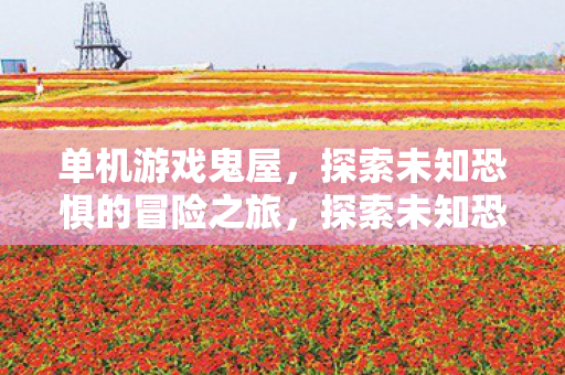 单机游戏鬼屋，探索未知恐惧的冒险之旅，探索未知恐惧，单机游戏鬼屋冒险之旅