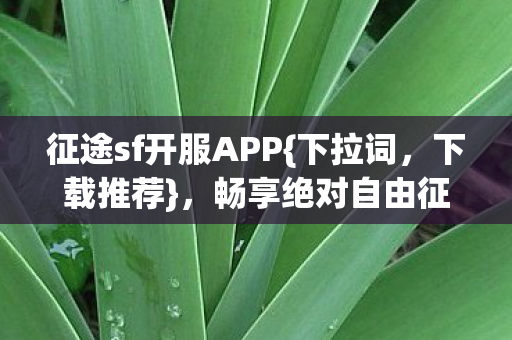 征途sf开服APP图片