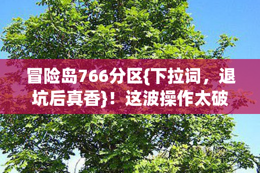 冒险岛766分区图片