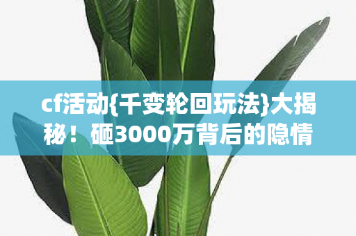 砸3000万背后的隐情图片