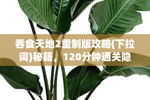 120分钟通关隐秘关卡图片
