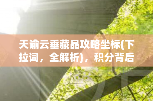天谕云垂藏品攻略坐标图片