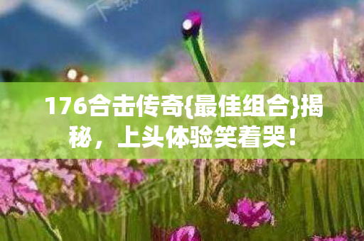 176合击传奇{最佳组合}揭秘，上头体验笑着哭！