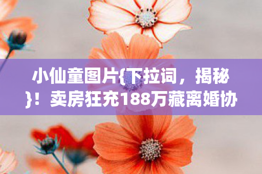 卖房狂充188万藏离婚协议内幕图片