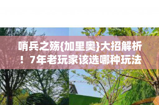 7年老玩家该选哪种玩法图片
