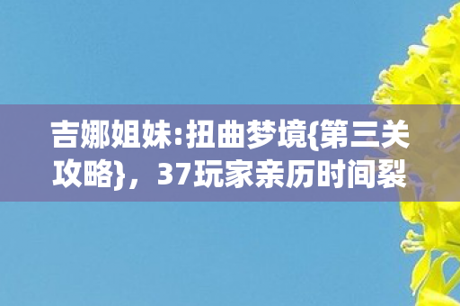 37玩家亲历时间裂隙图片
