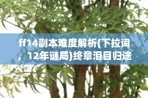 ff14副本难度解析图片