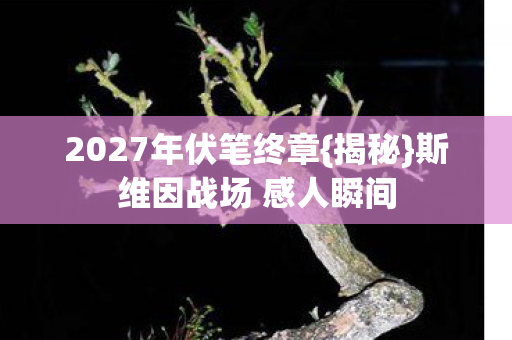 斯维因战场 感人瞬间图片