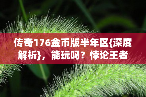 传奇176金币版半年区图片