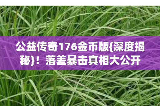 公益传奇176金币版图片
