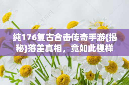 纯176复古合击传奇手游图片