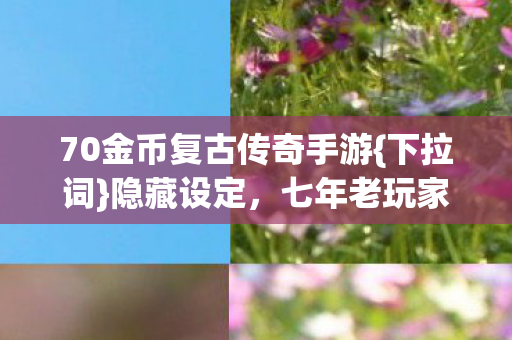 70金币复古传奇手游图片