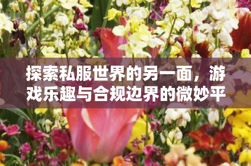 游戏乐趣与合规边界的微妙平衡图片