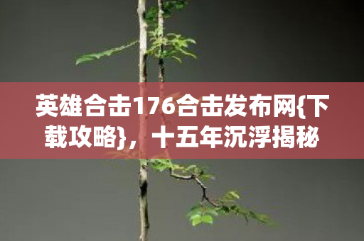 英雄合击176合击发布网图片