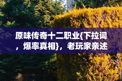 老玩家亲述绷不住原因图片