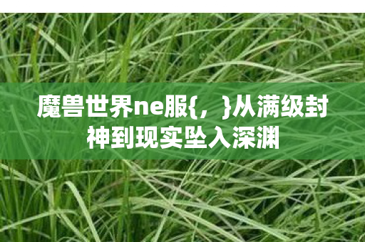 魔兽世界ne服{，}从满级封神到现实坠入深渊