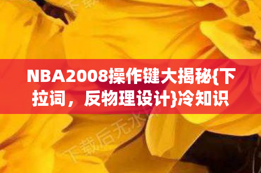 NBA2008操作键大揭秘{下拉词,反物理设计}冷知识 NBA2008操作键大揭秘{下拉词,反物理设计}冷知识