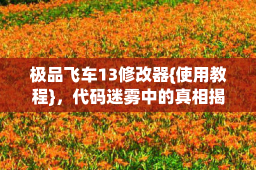 代码迷雾中的真相揭秘图片